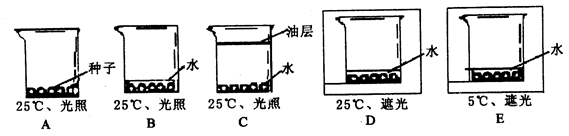 皇马今夏第3笔引援敲定 法国国脚将接受皇马体检:爱游戏视讯(图3) 爱游戏视讯