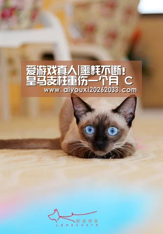 爱游戏真人|噩耗不断!皇马支柱重伤一个月 C罗替身也倒下(图3) 爱游戏赛事