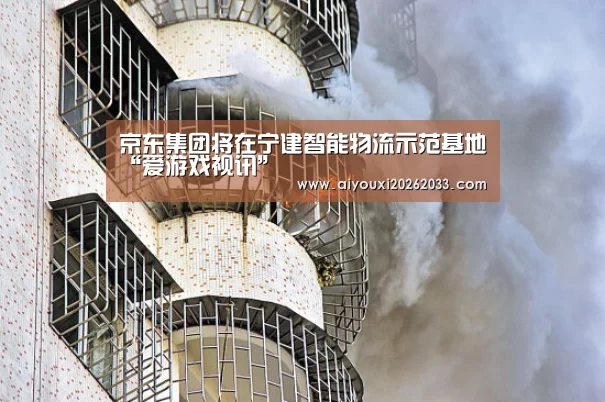 京东集团将在宁建智能物流示范基地“爱游戏视讯”(图3) 爱游戏赛事
